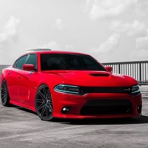 Meet your Posher, Samuel